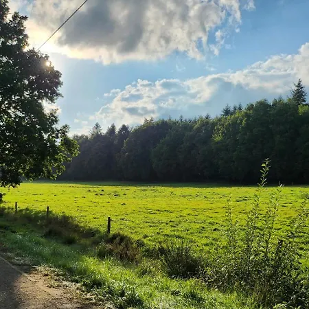 Das Familienreich Viel Platz Zum Wohlfuehlen * Aurich